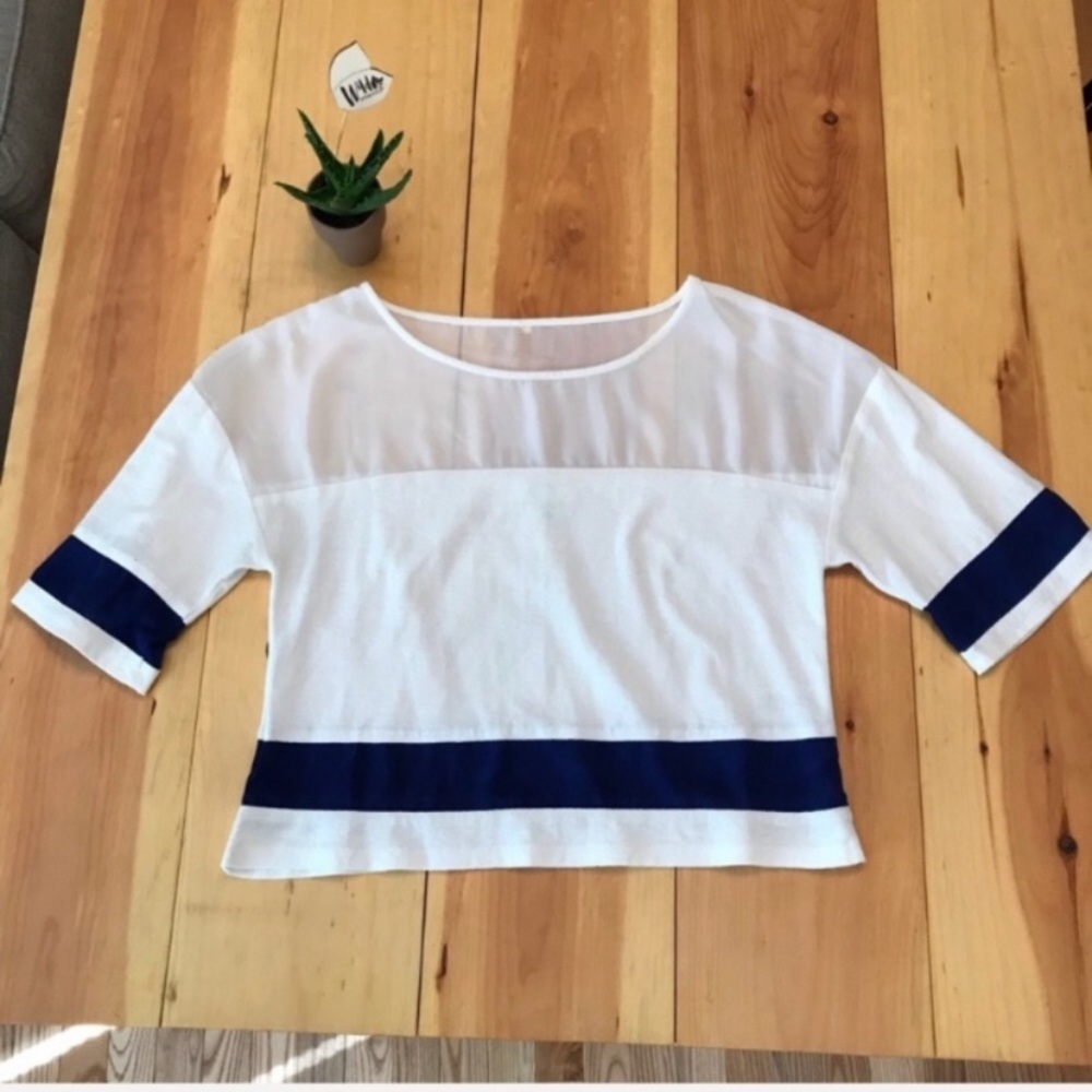 NWOT Anthropologie Harlyn Sheer Panel Crop Top